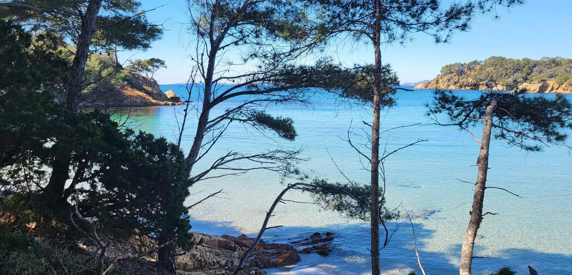 Apartment Studio Nature La Londe-les-Maures